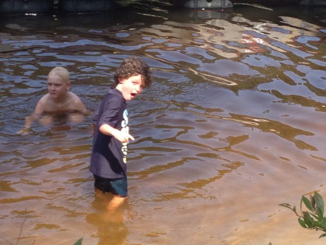 Children playing in the water during a sunny day.