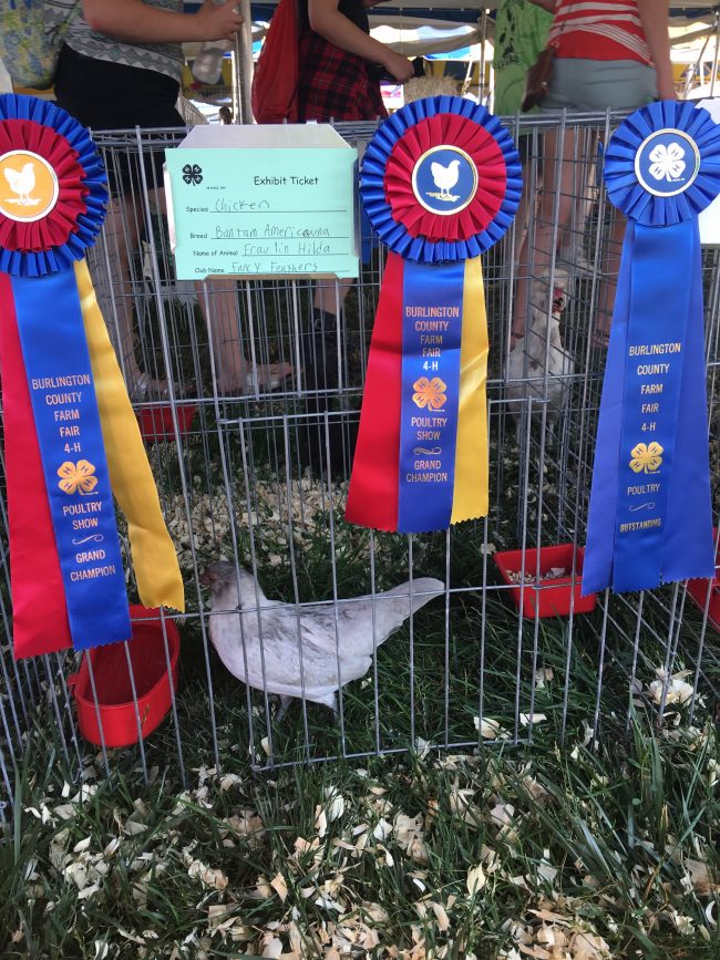 Stronger than they realize stronger than they realize